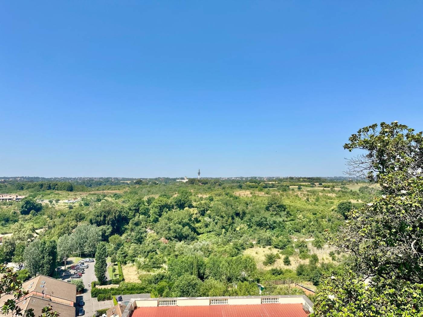 Vista