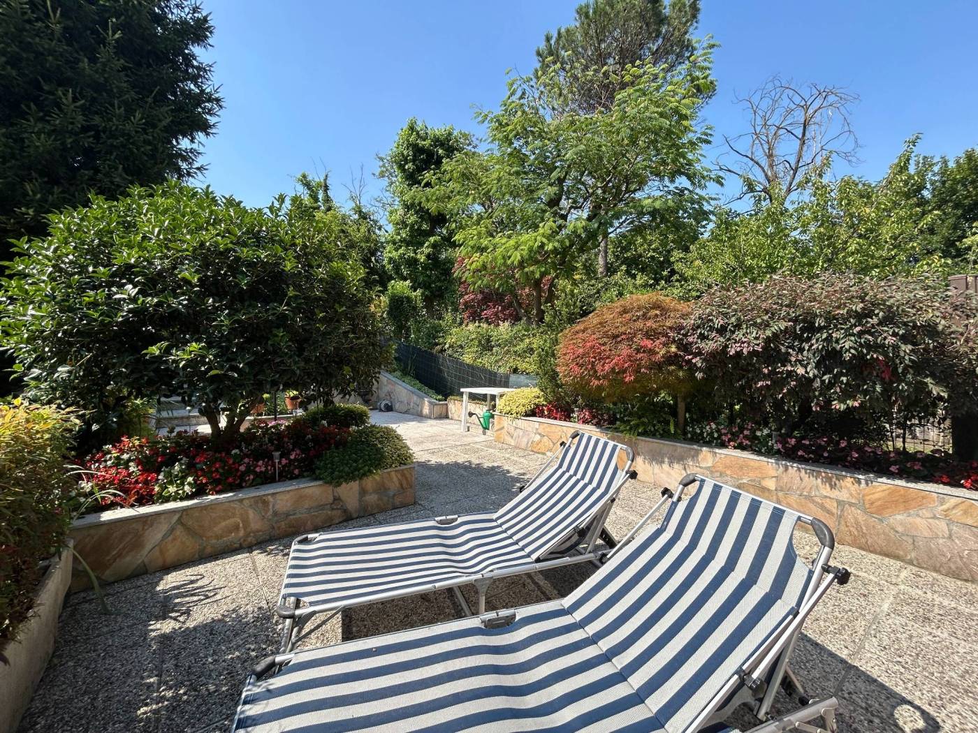 Giardino
