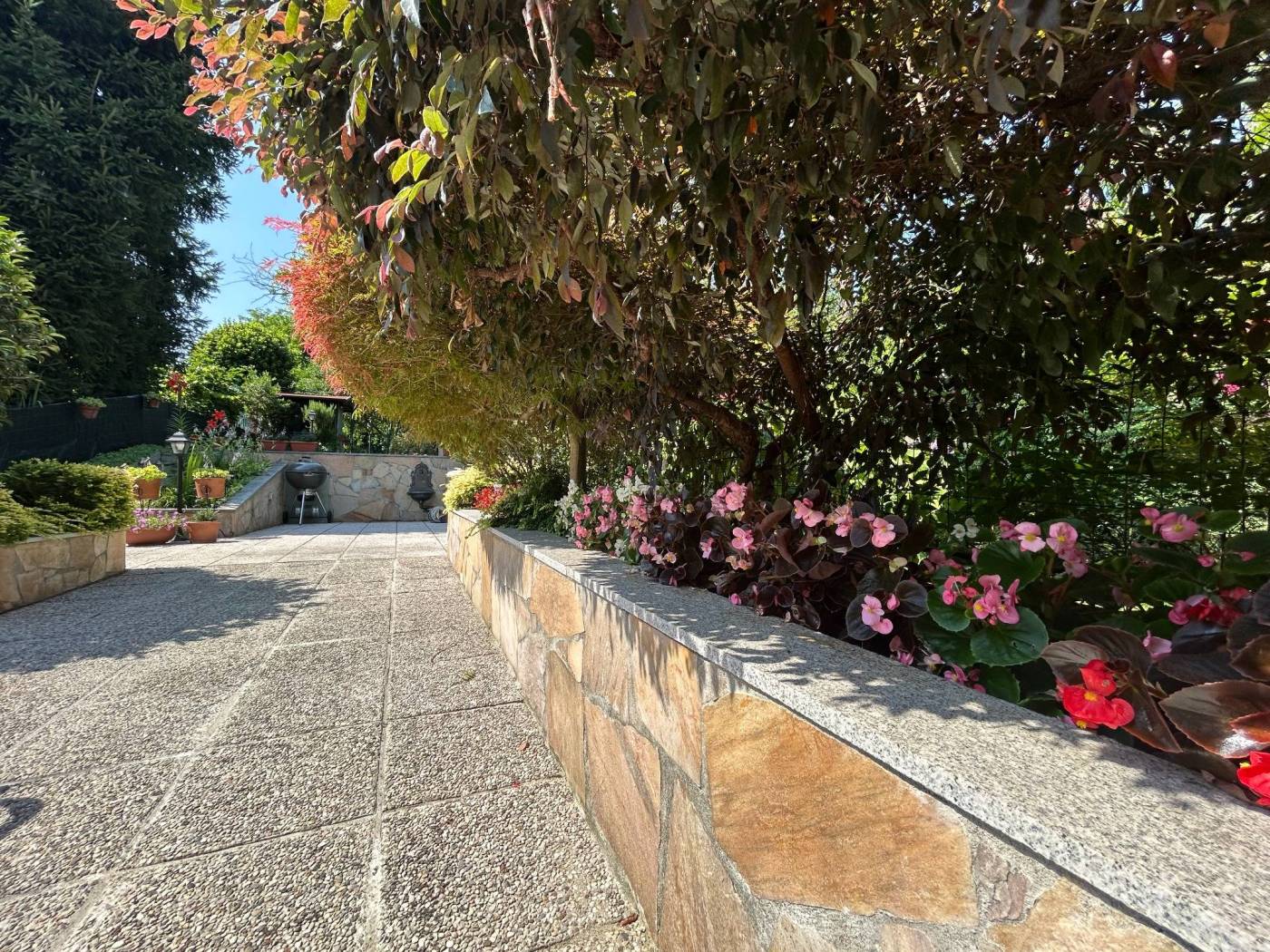 Giardino