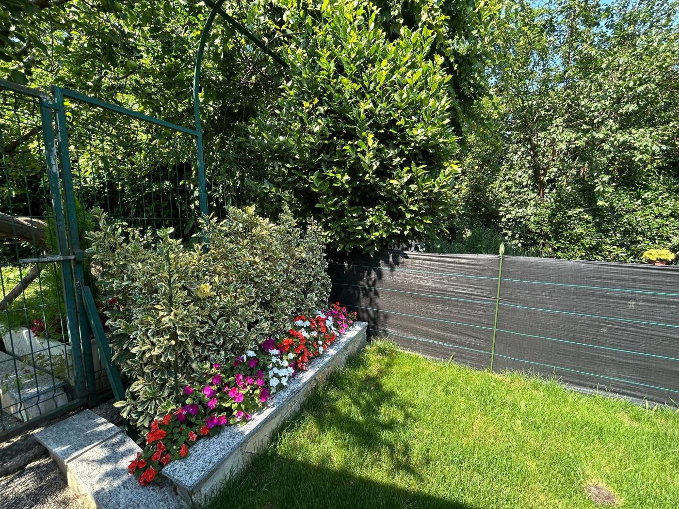 Giardino