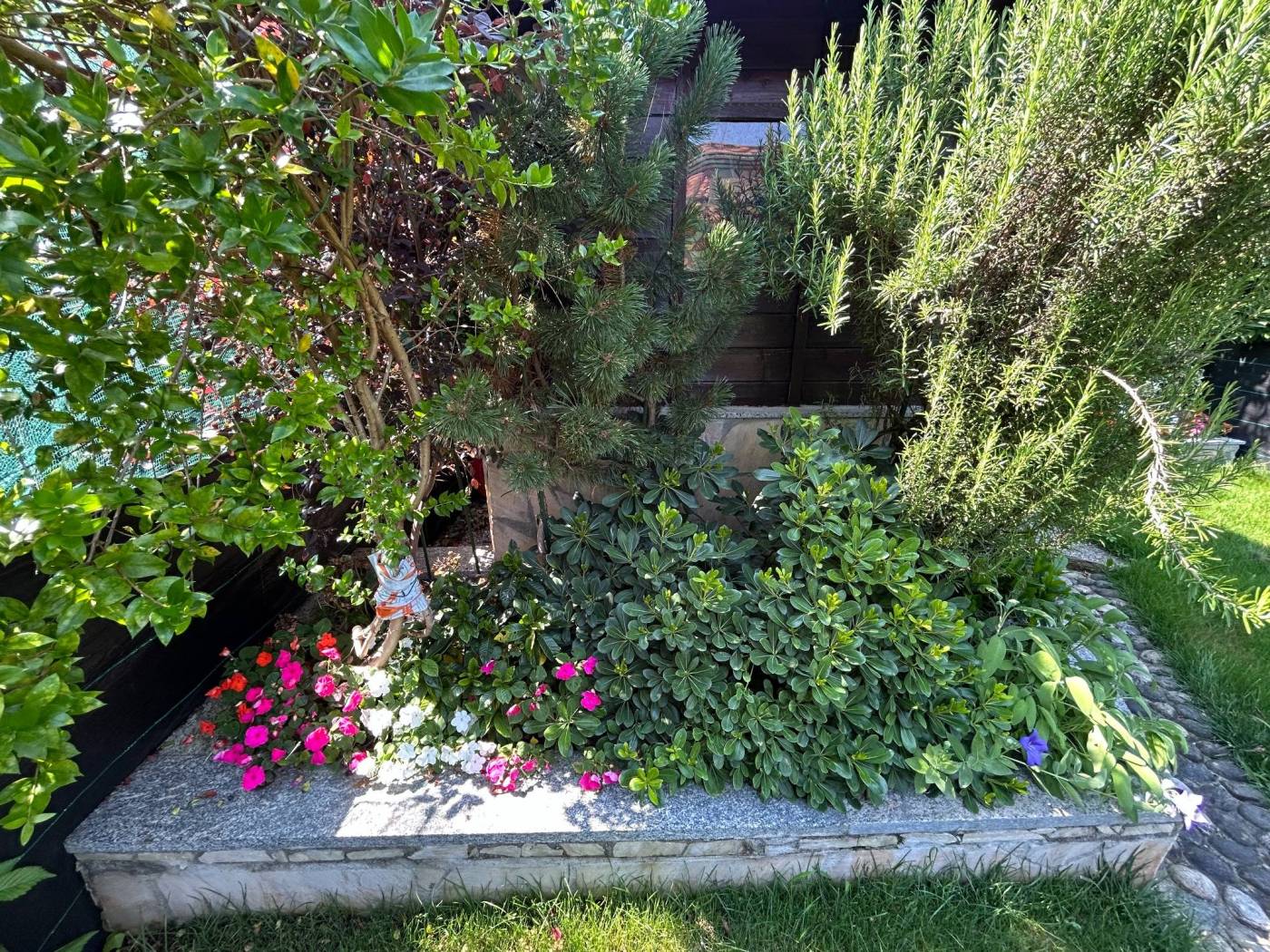 Giardino