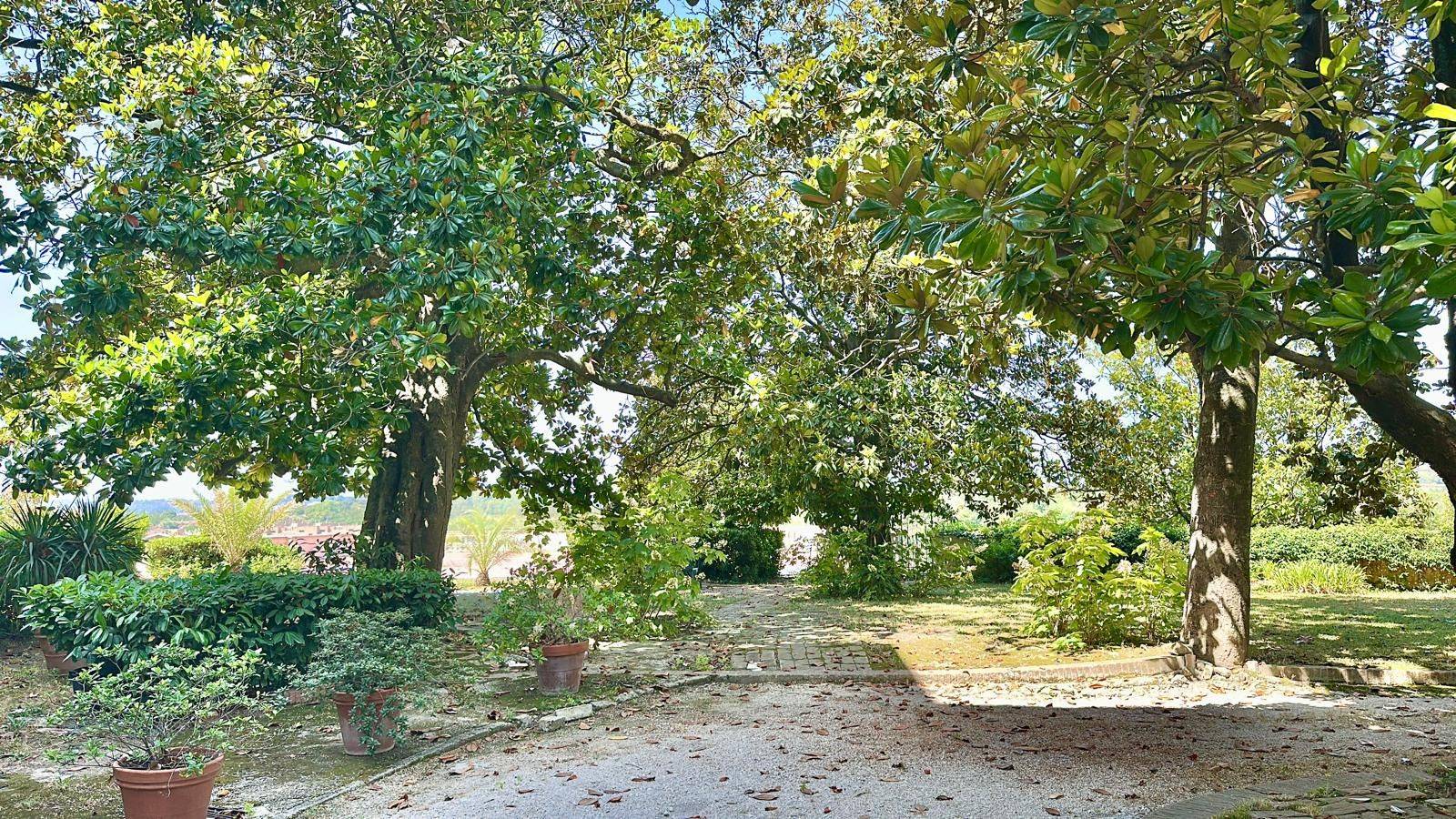 Giardino