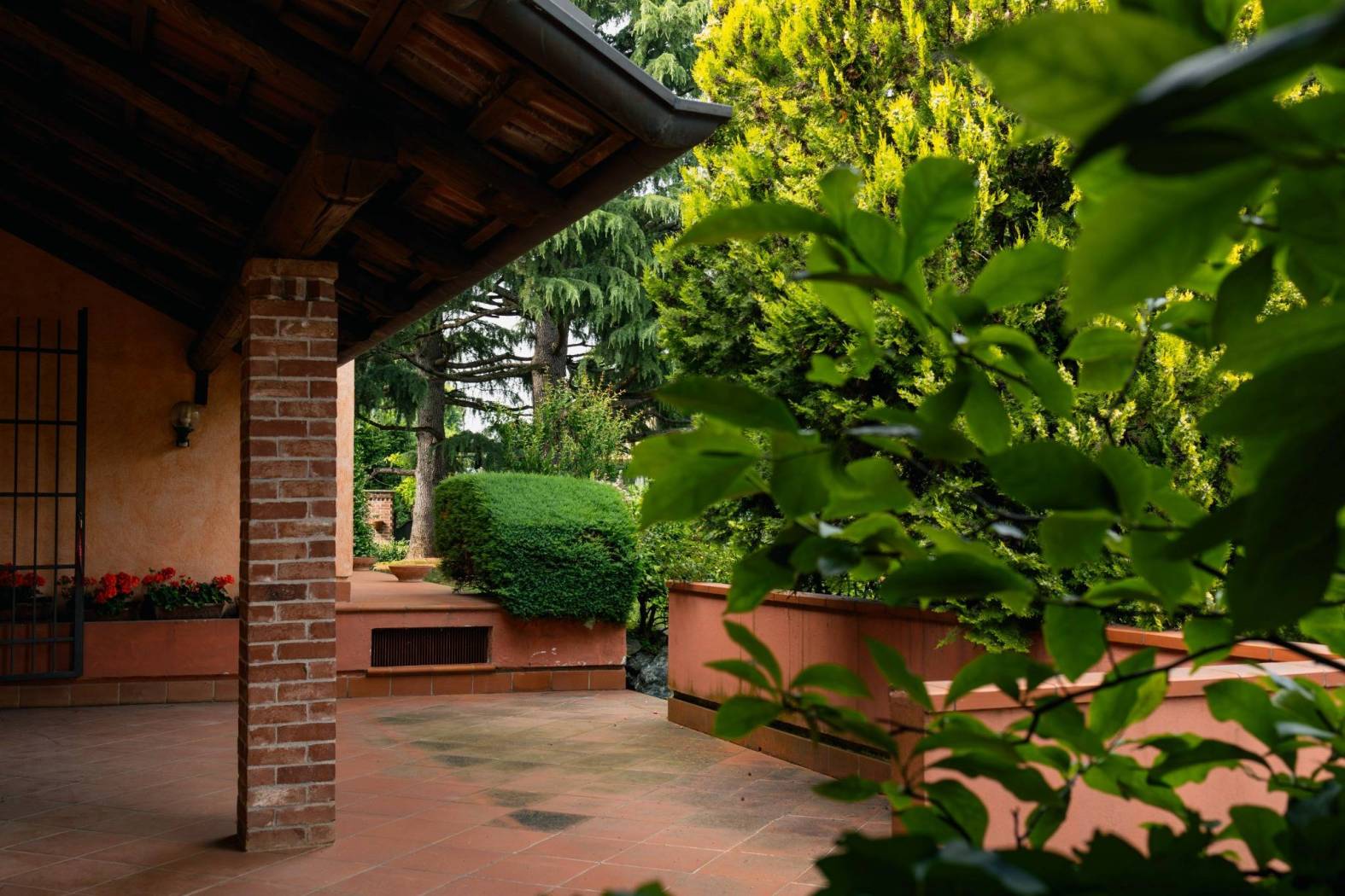 Giardino