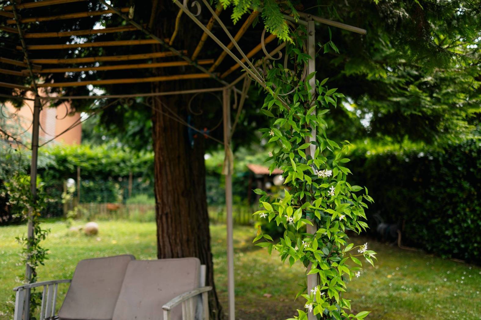 Giardino
