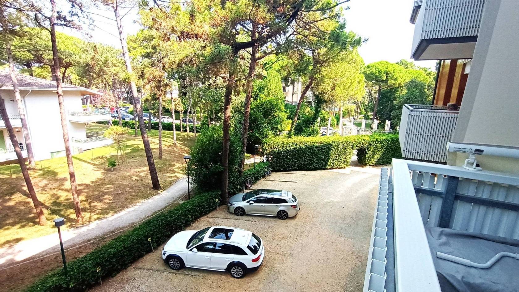 Vista