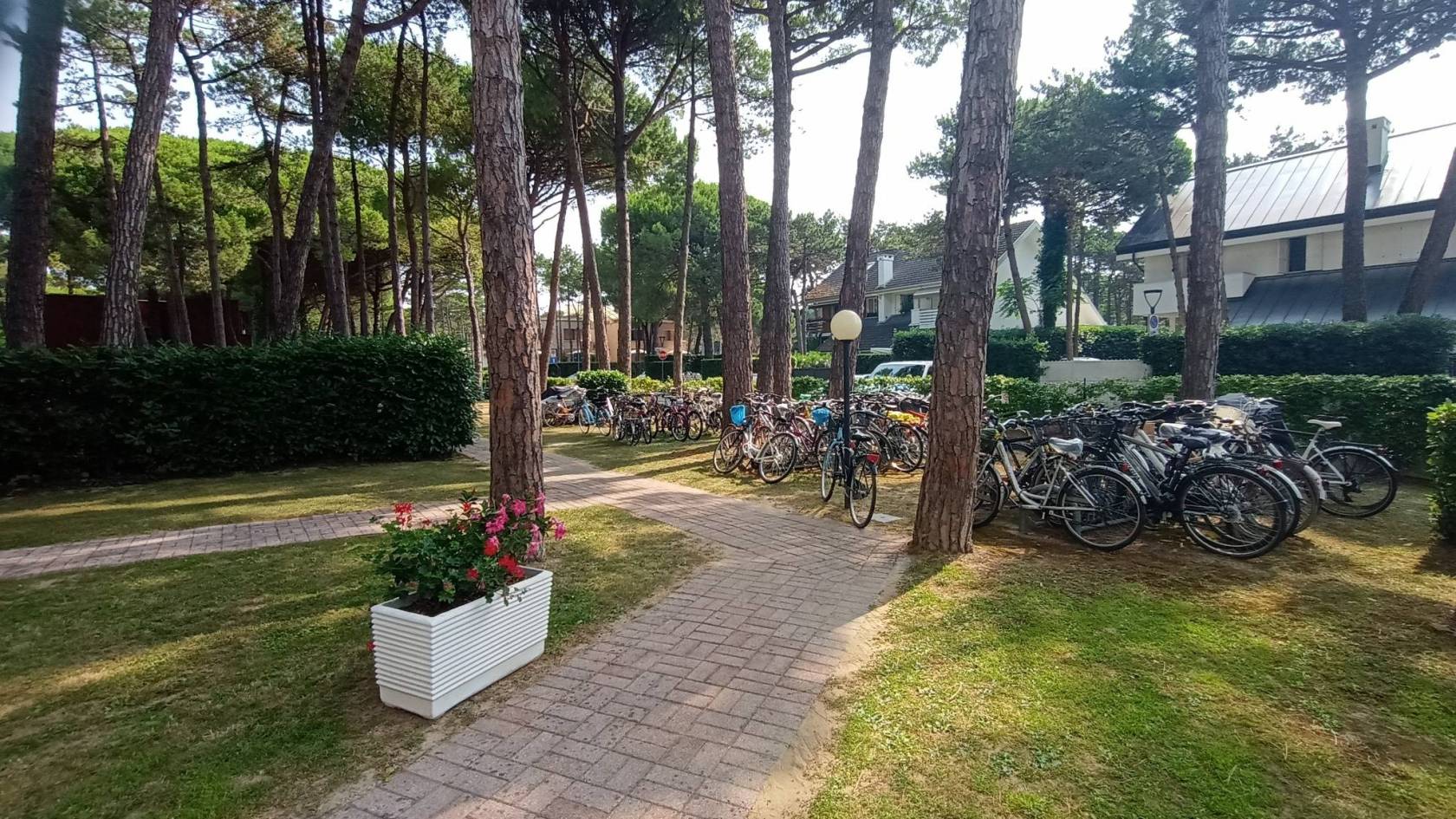 Giardino
