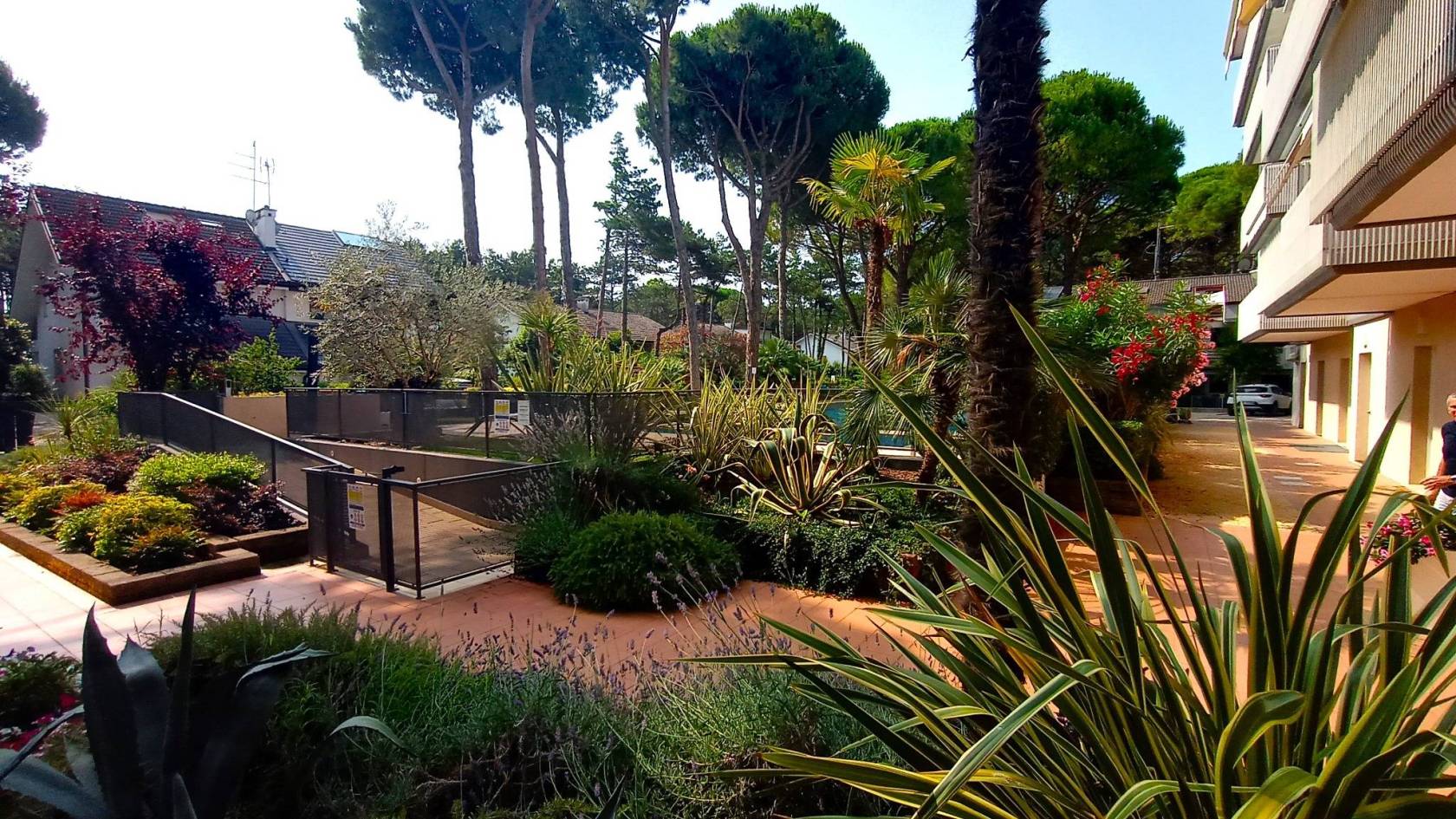 Giardino