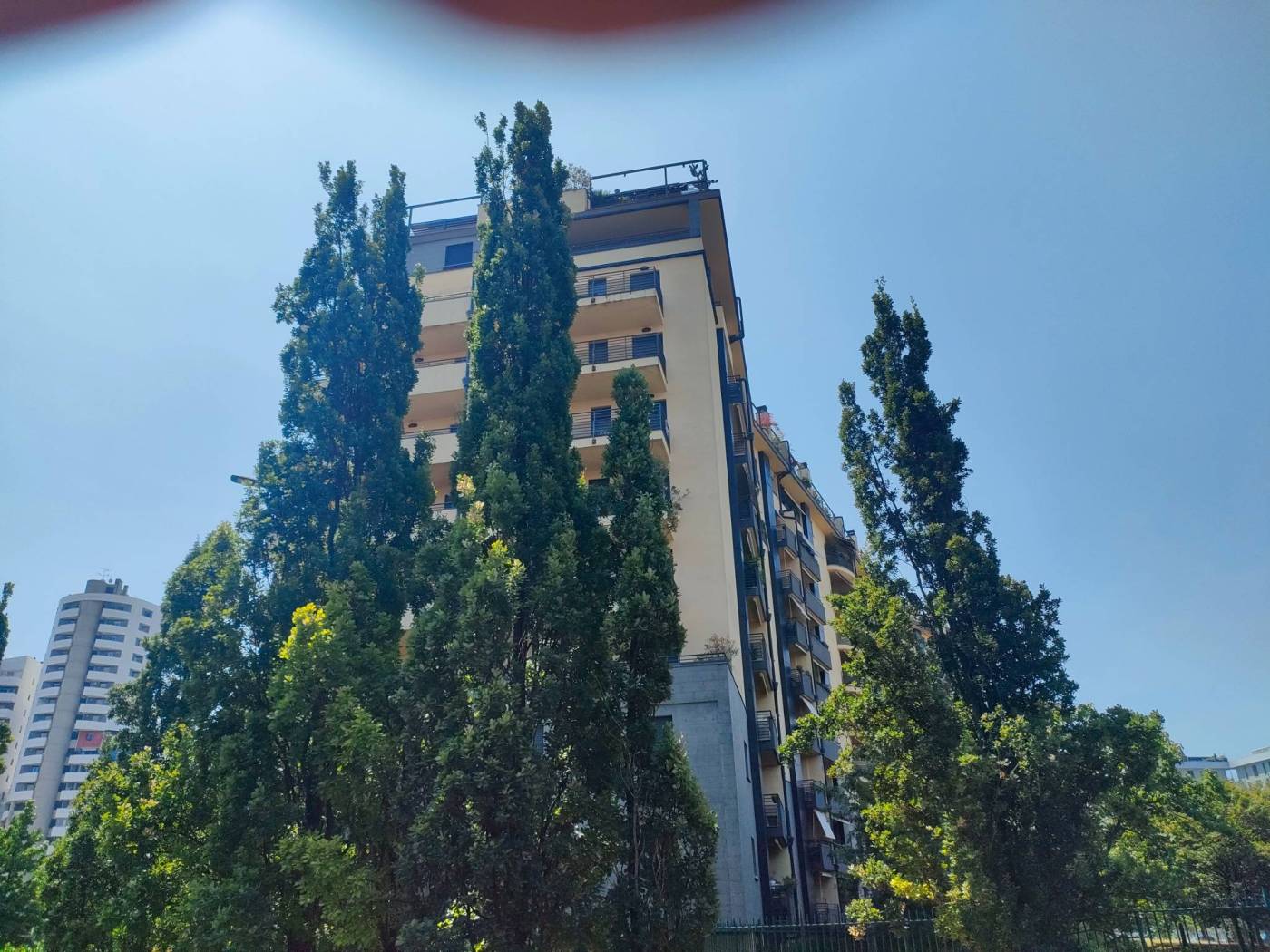 Vista