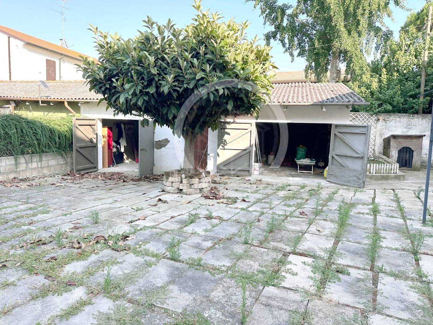 Giardino