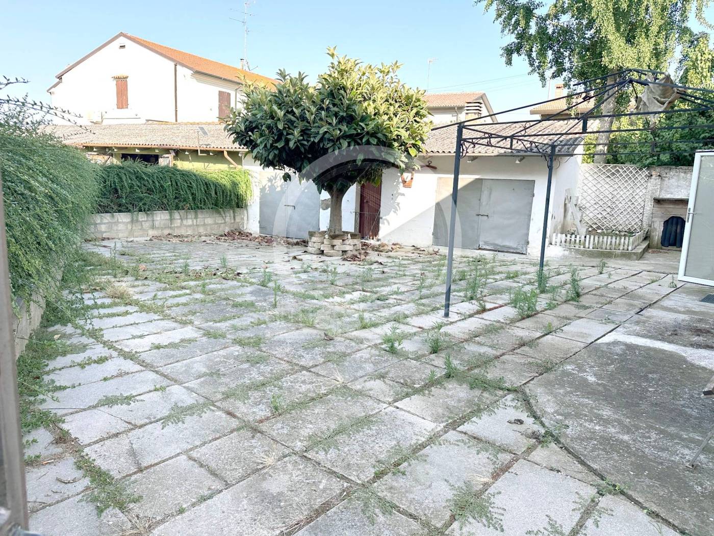 Giardino
