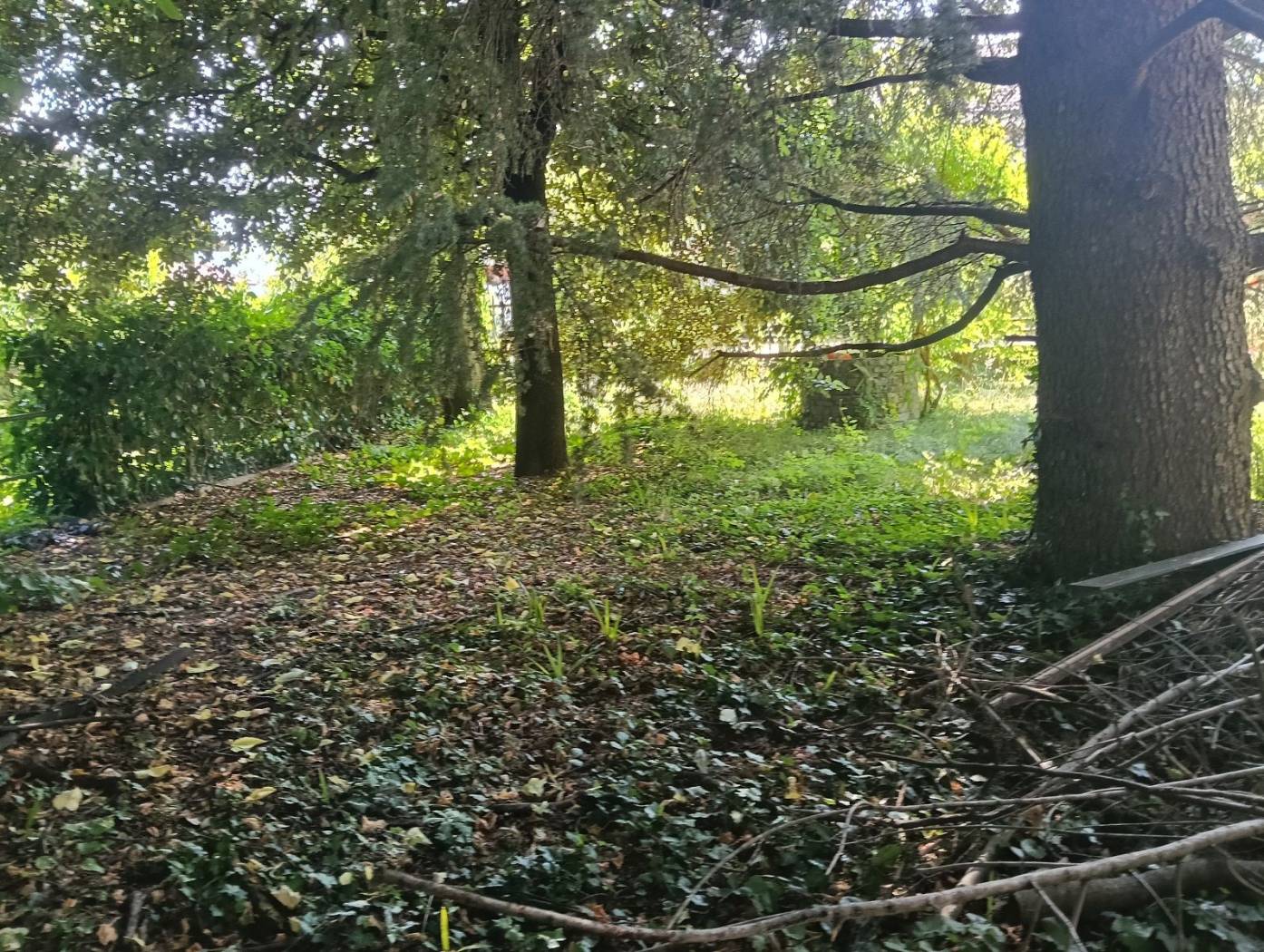 Terreno