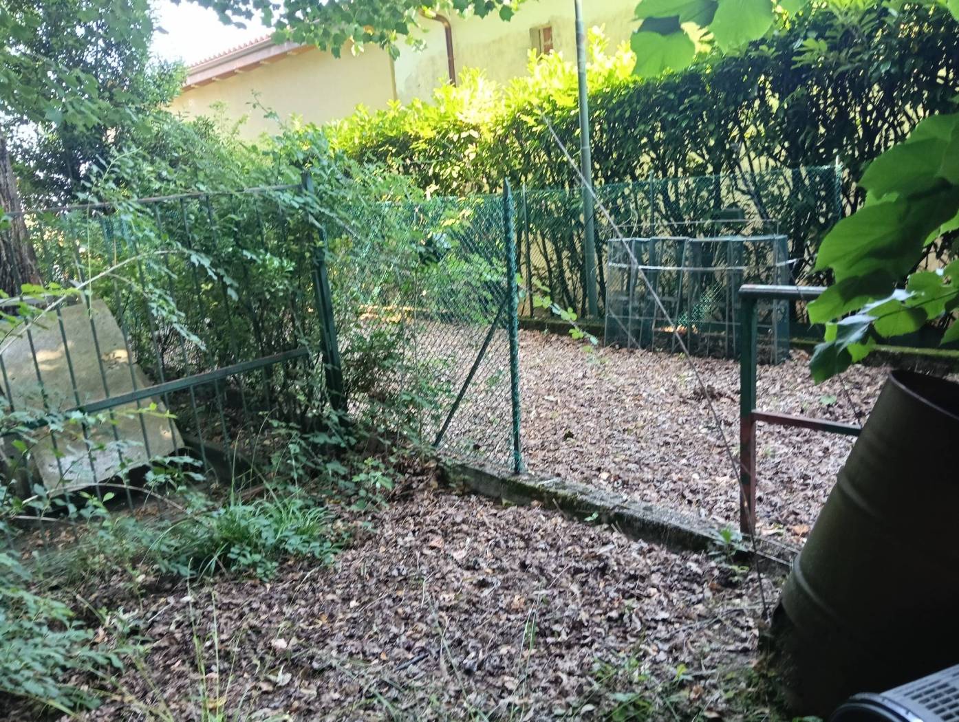 Giardino