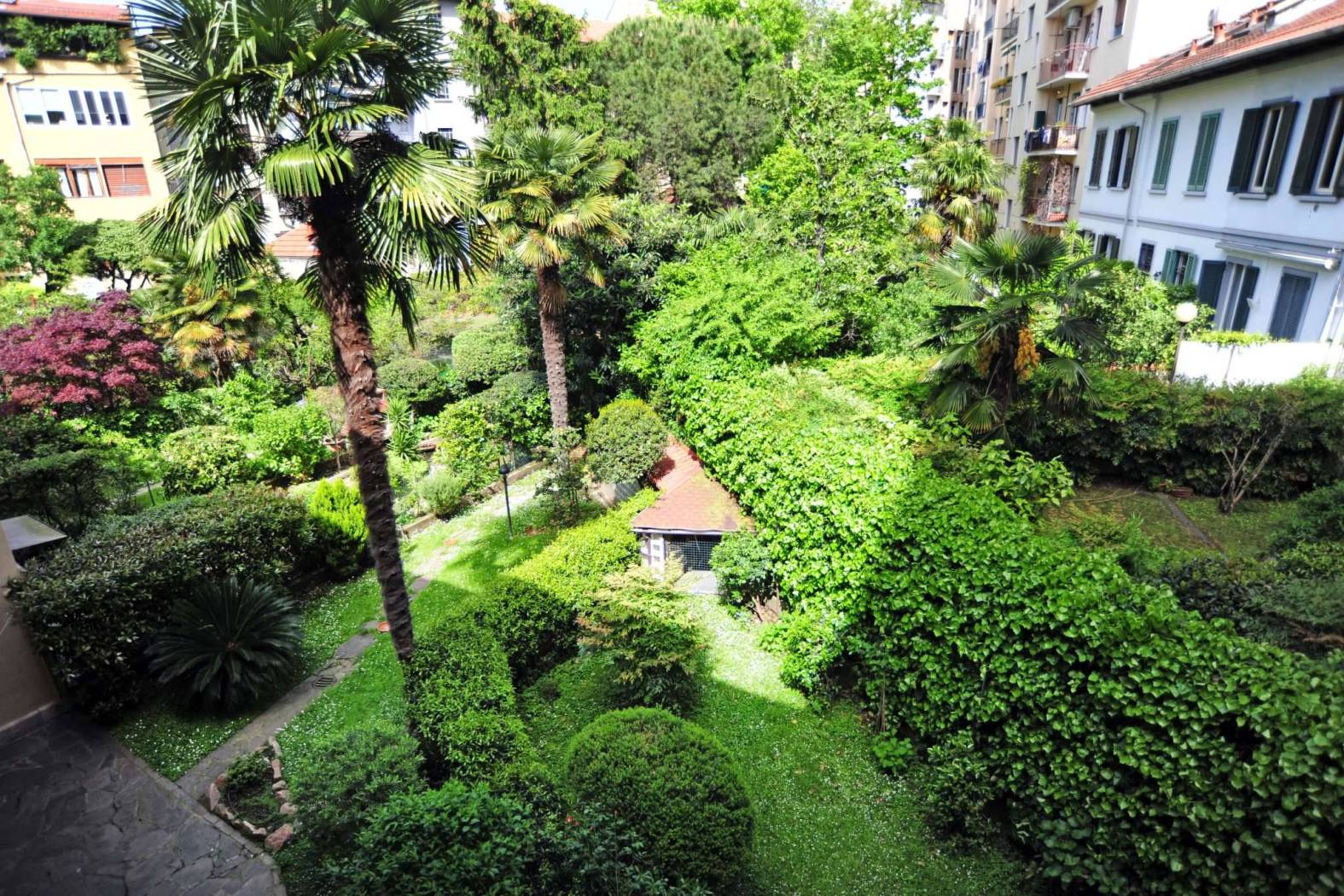 Giardino