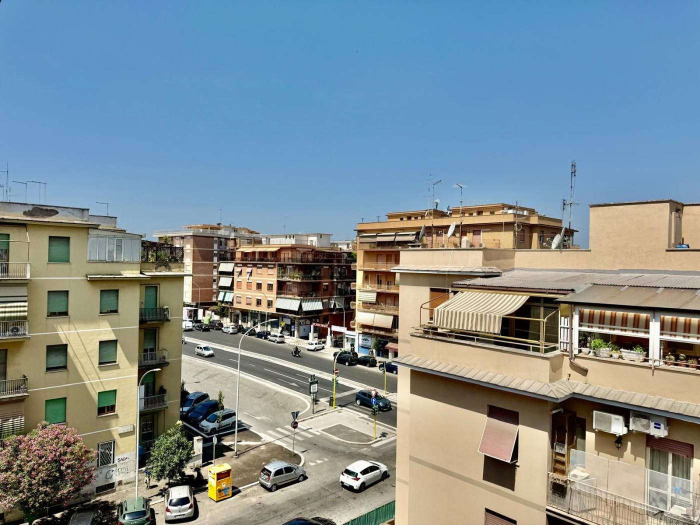 Vista