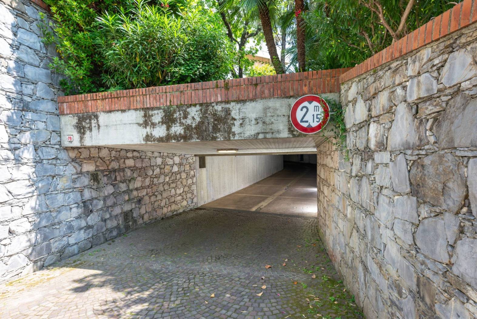 Ingresso