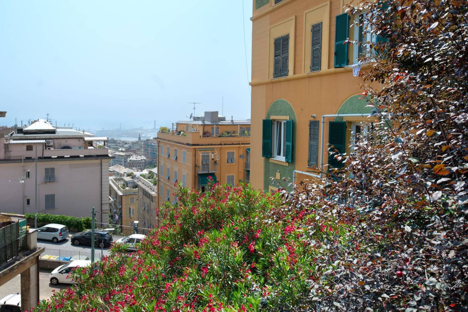 Vista