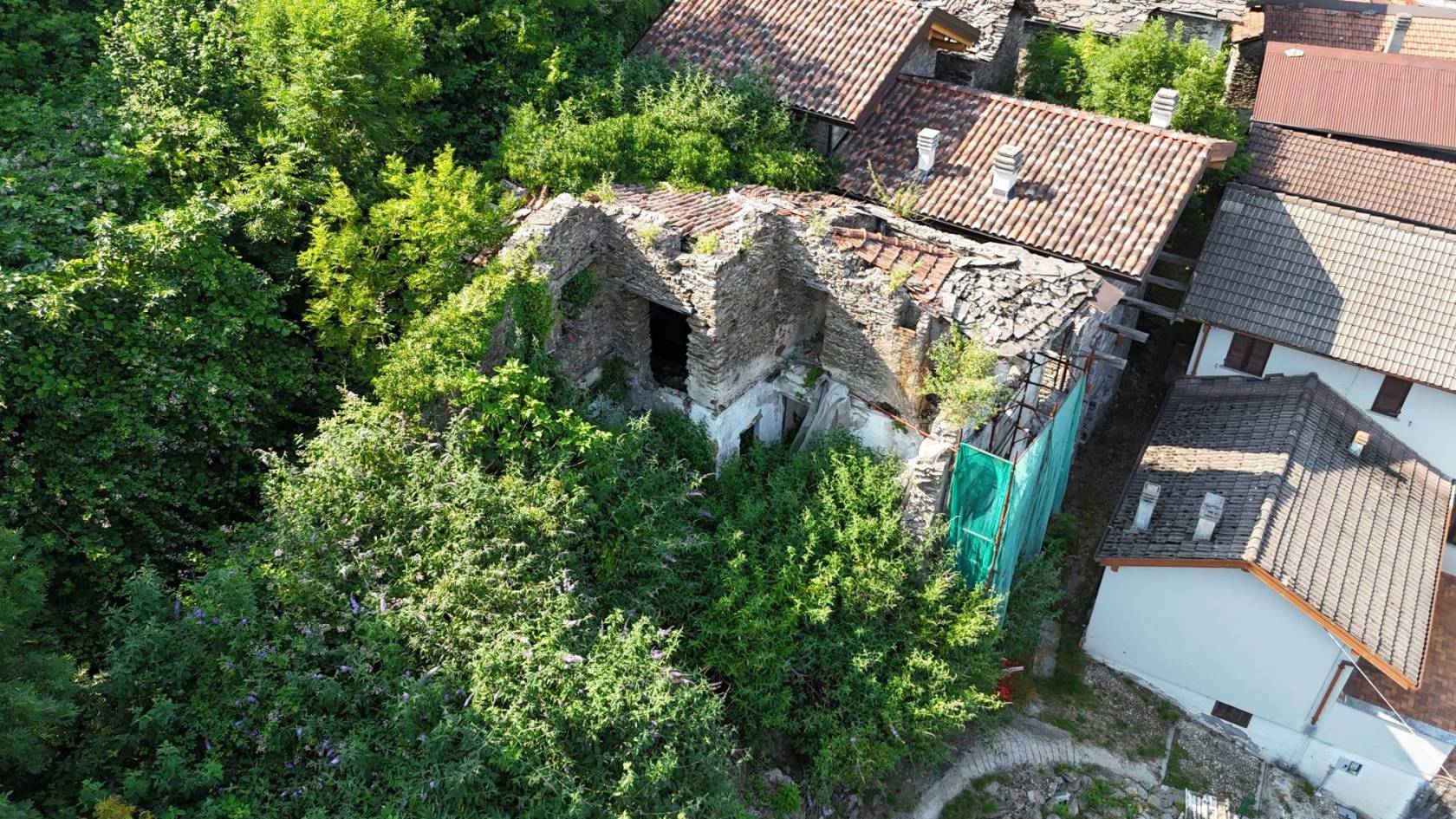 Vista