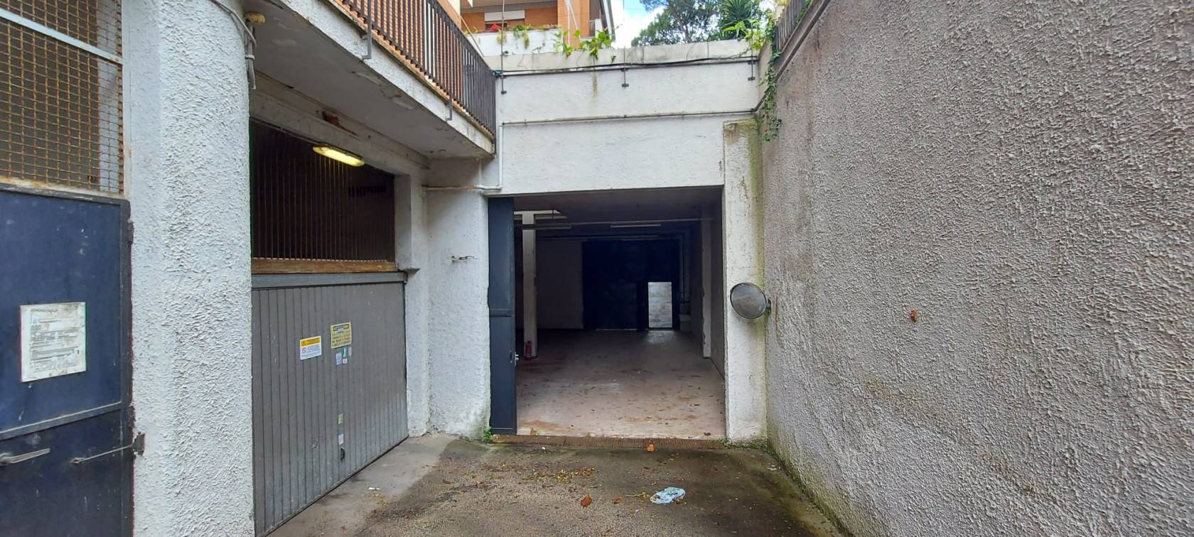Ingresso