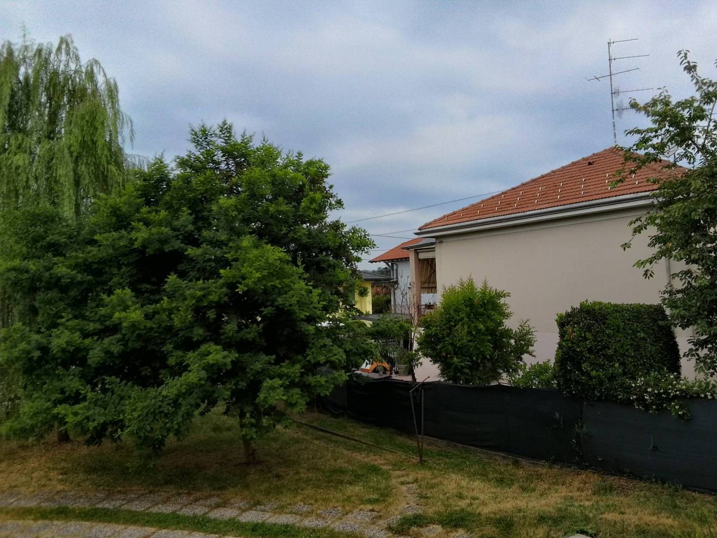 Terreno