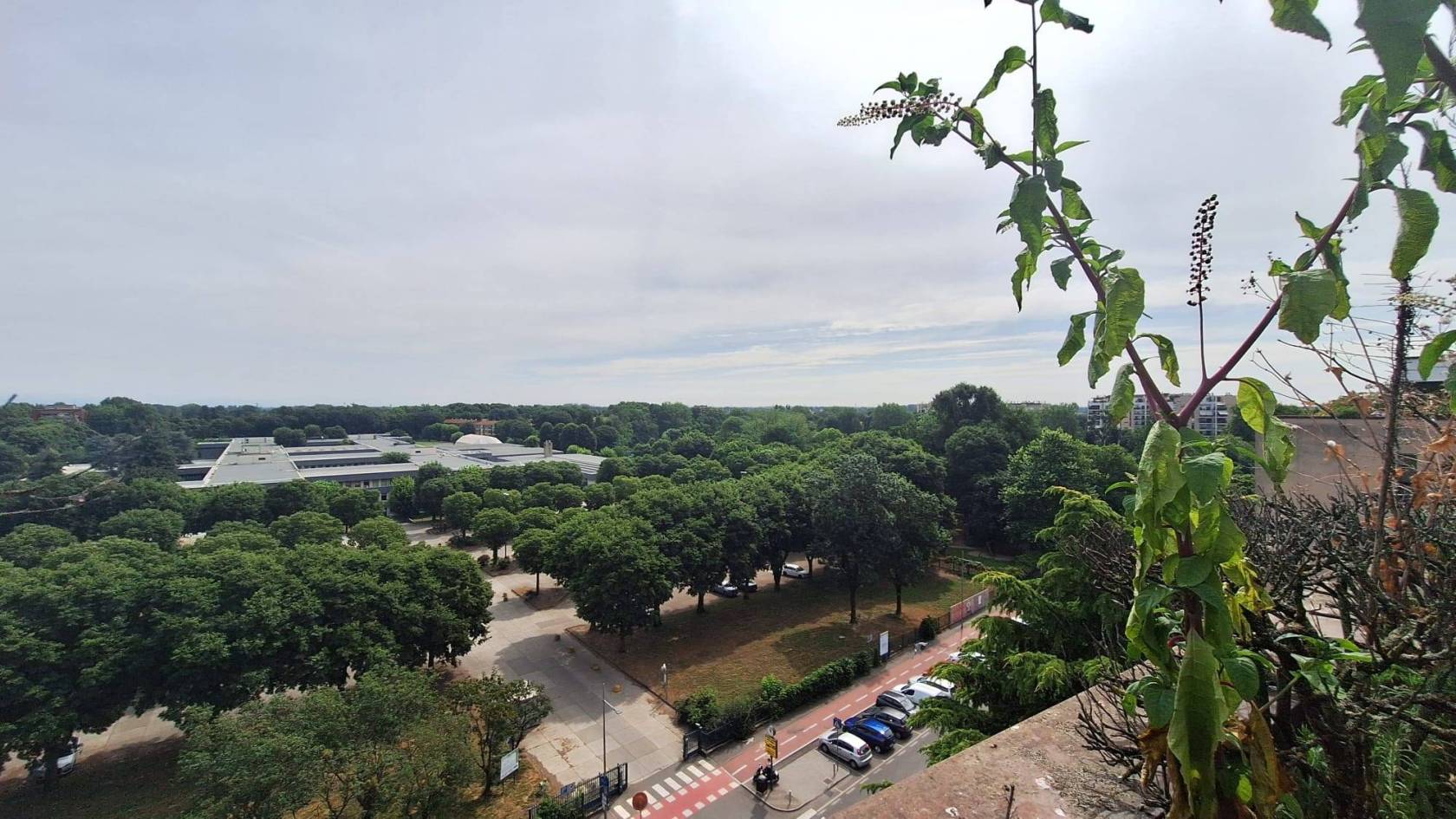 Vista