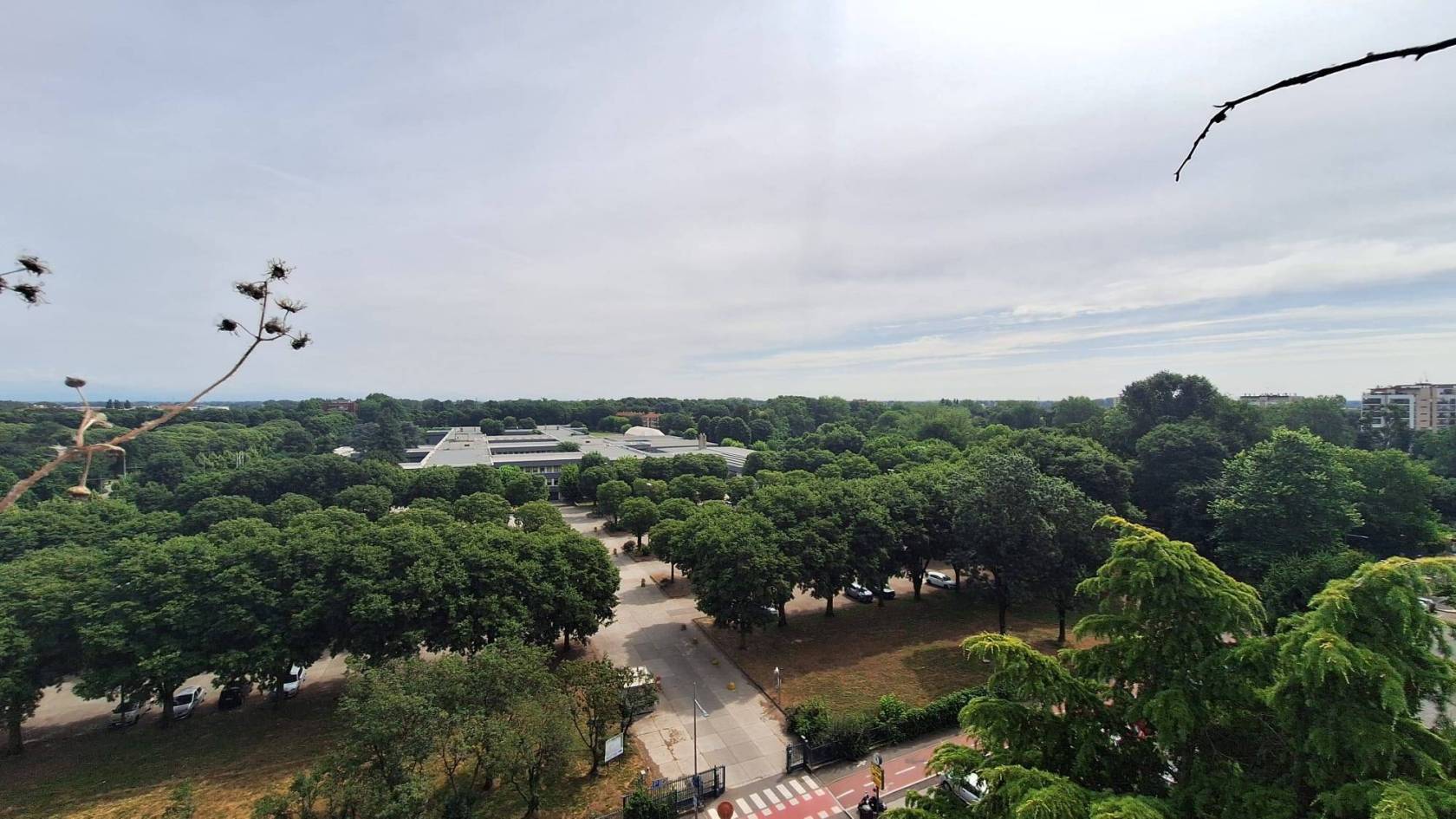 Vista