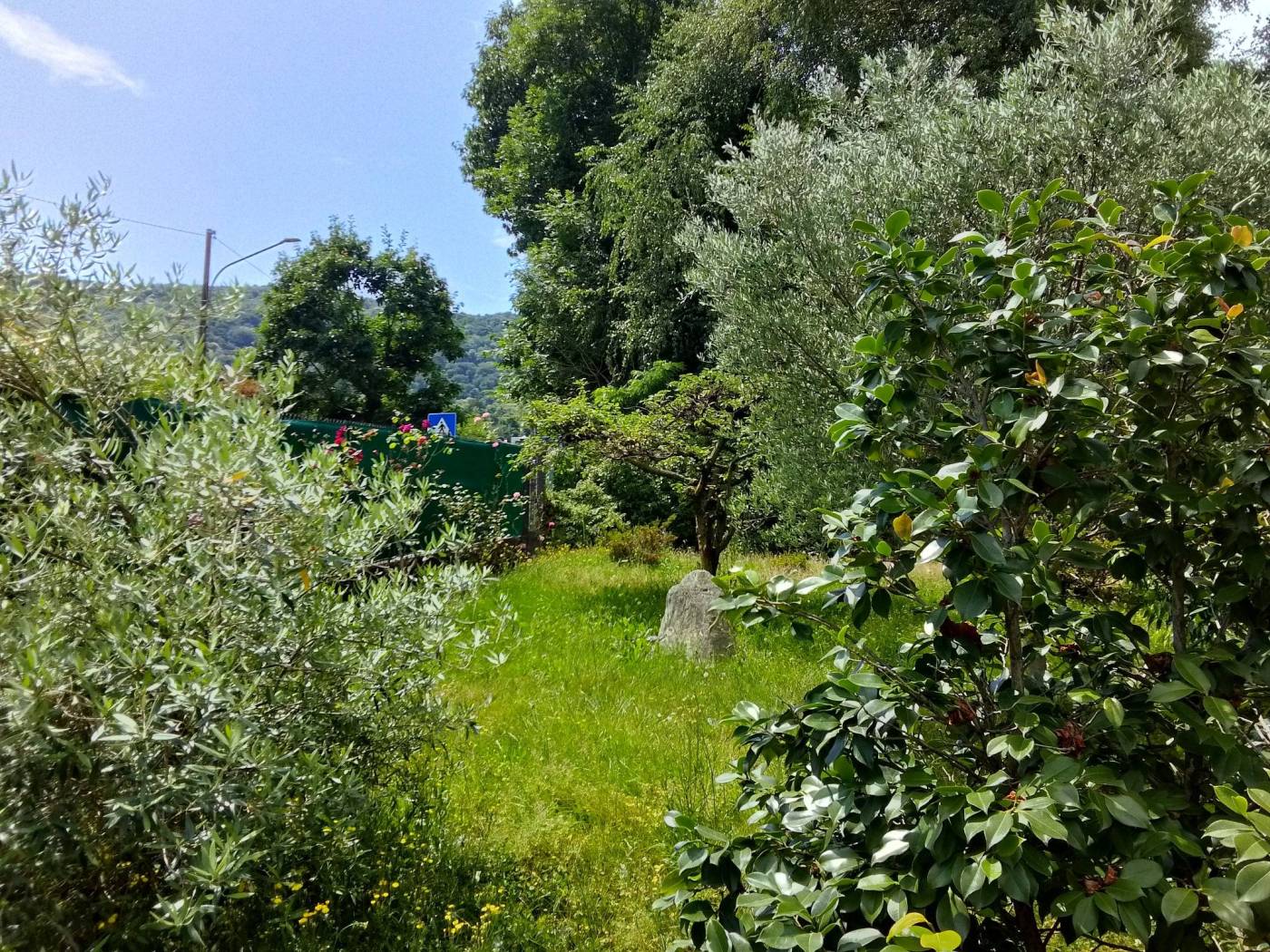 Terreno