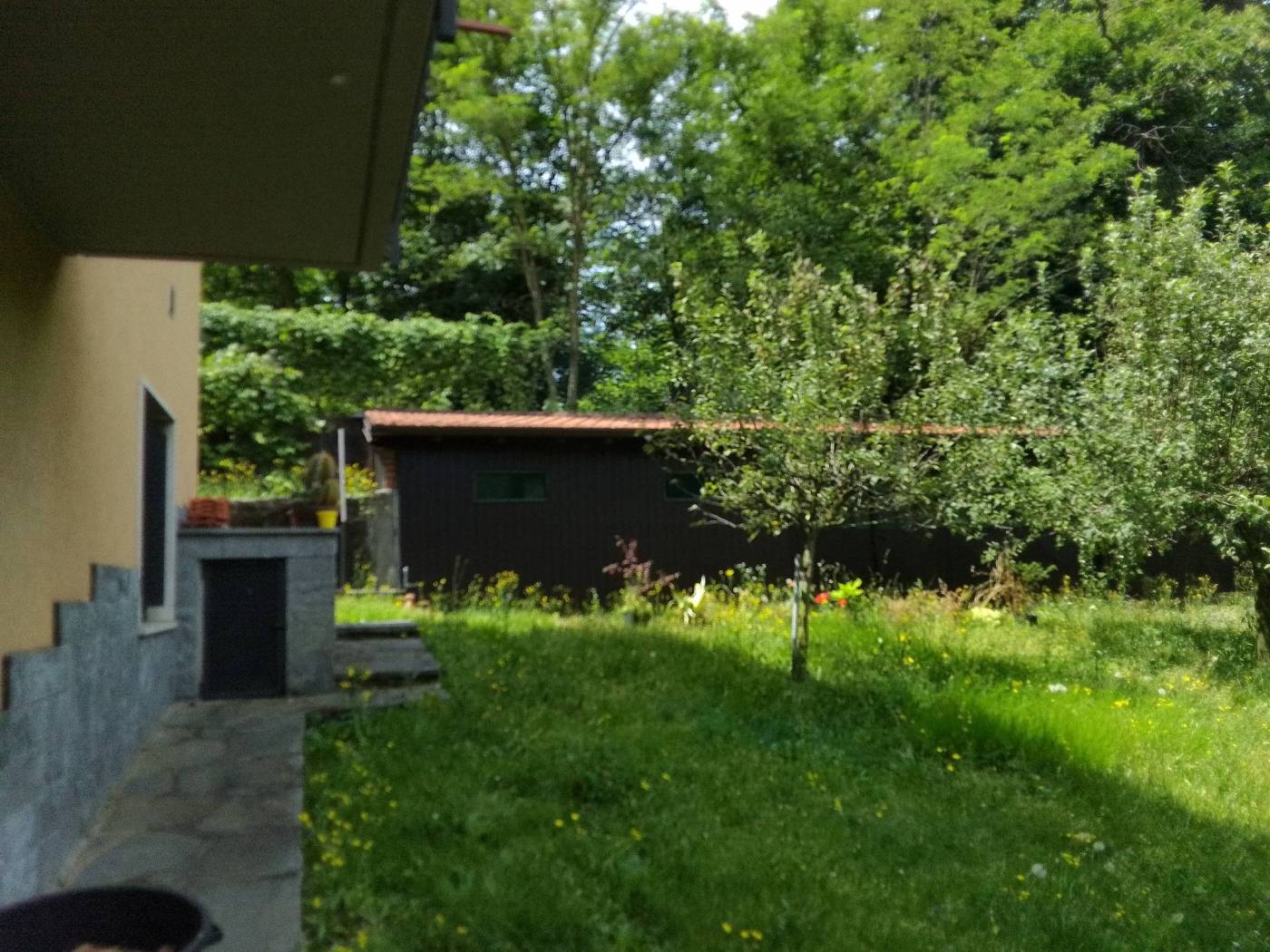 Giardino
