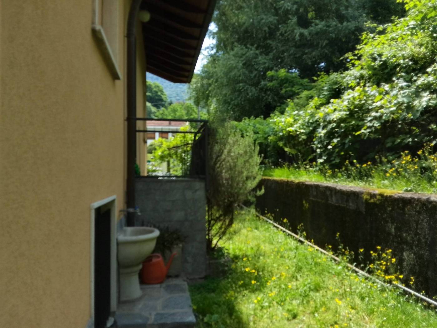 Giardino
