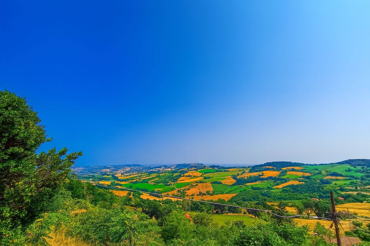 Vista
