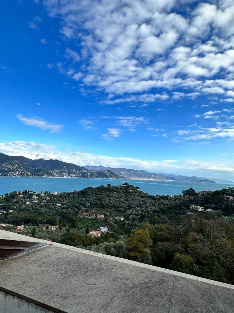 Vista