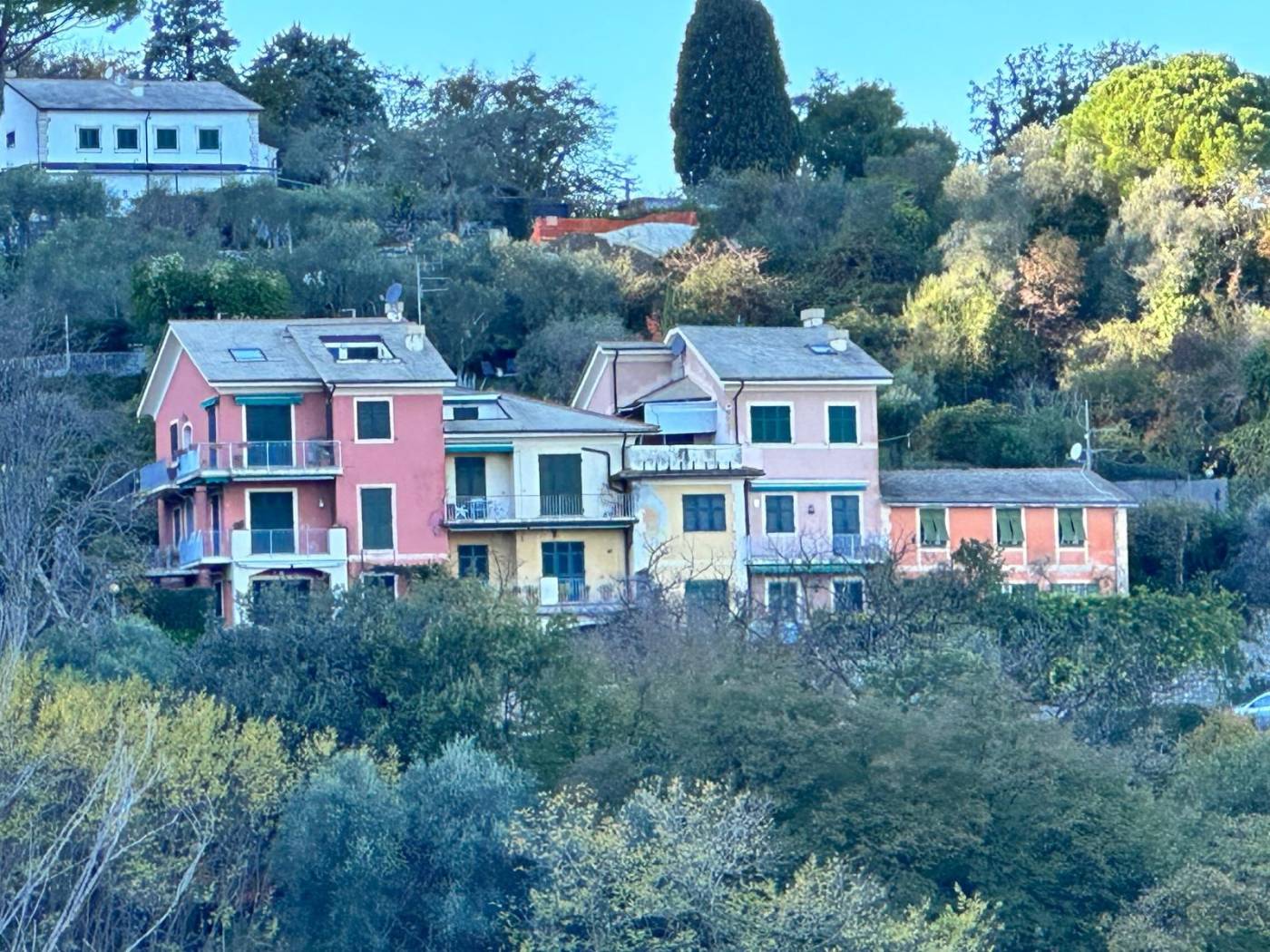 Vista