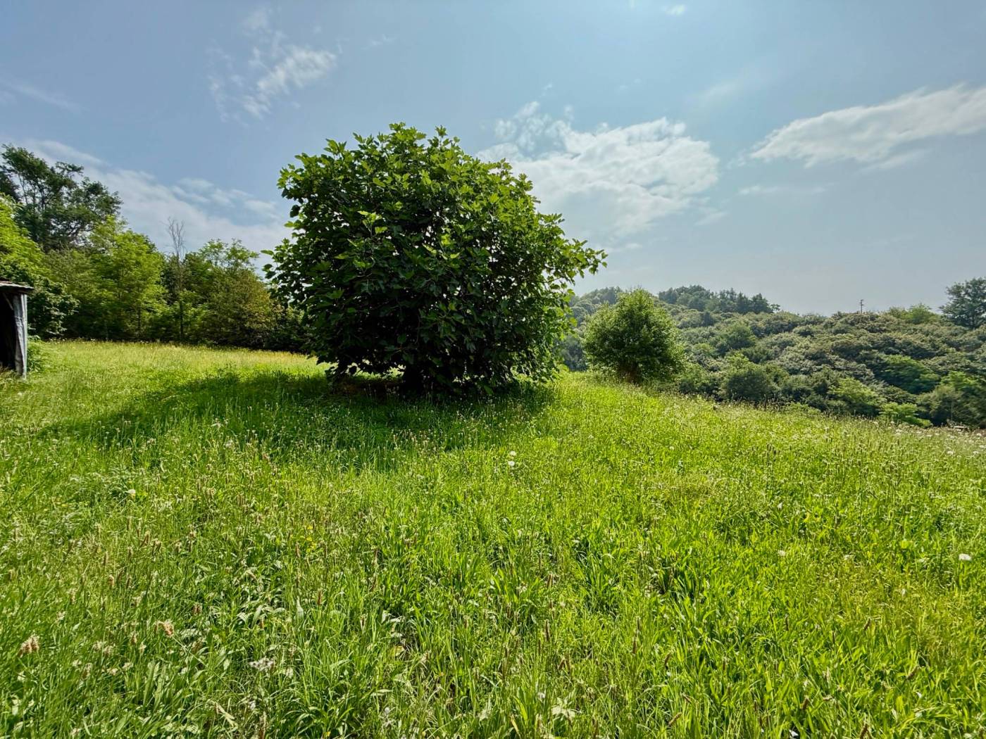 Terreno