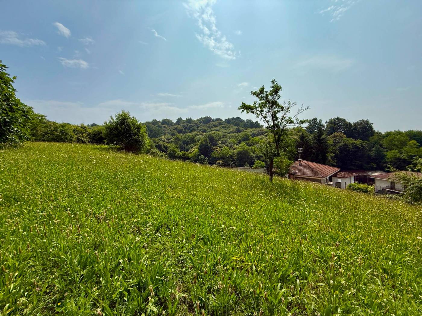 Terreno