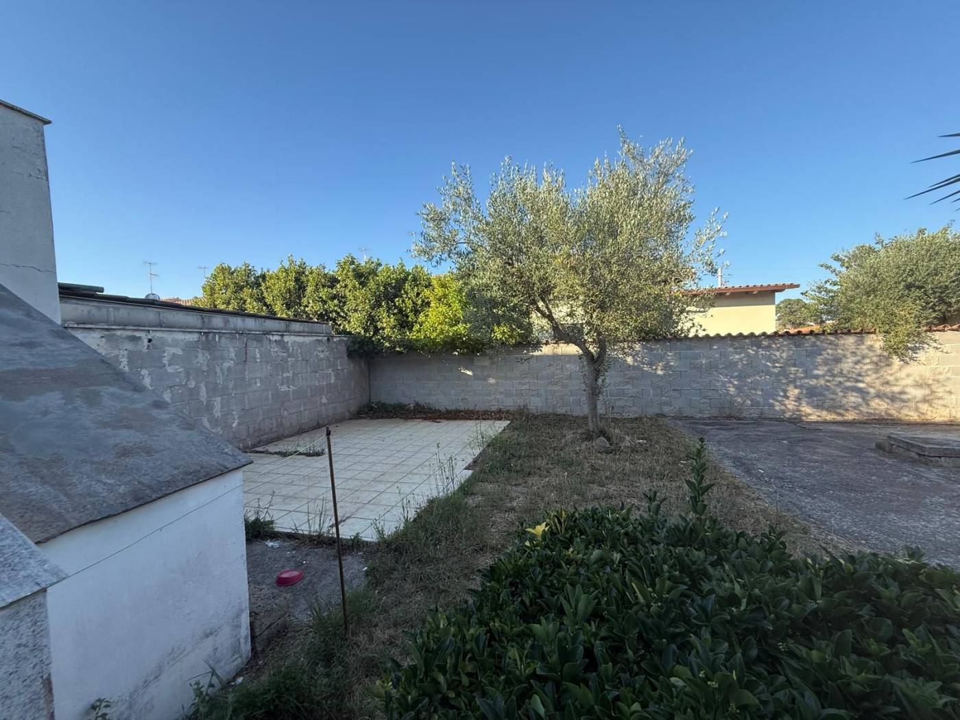 Giardino