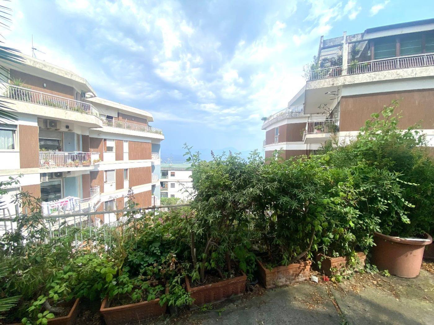 Vista
