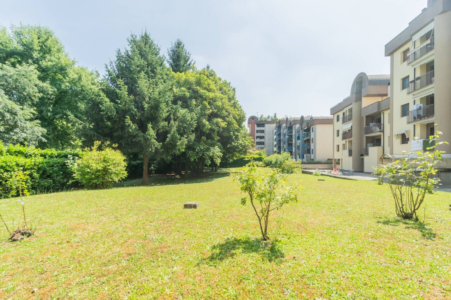 Giardino