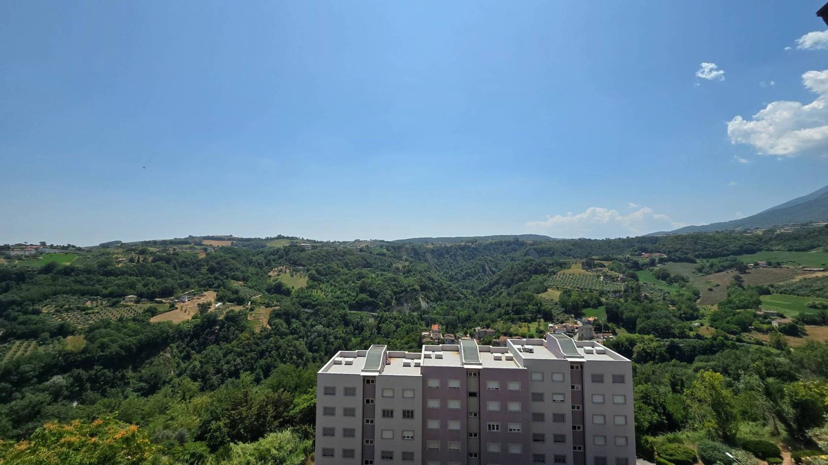 Vista