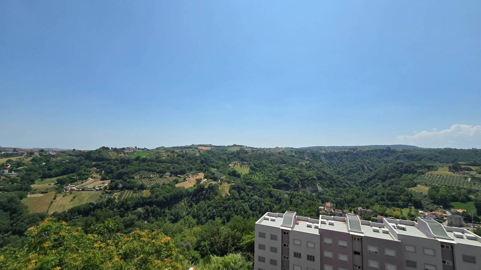 Vista