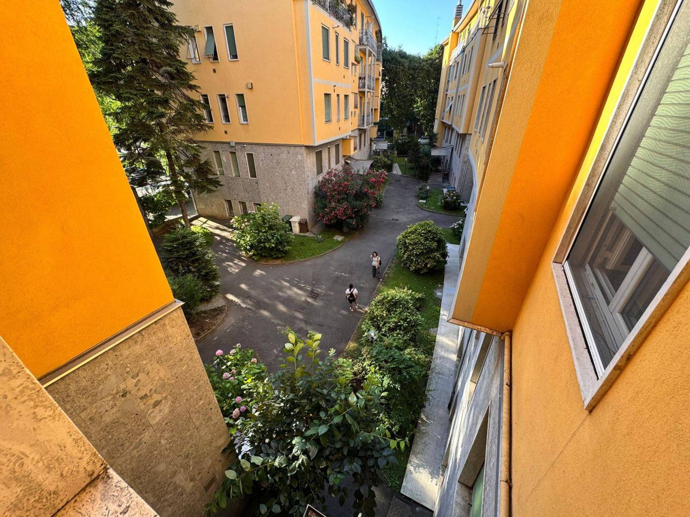 Vista