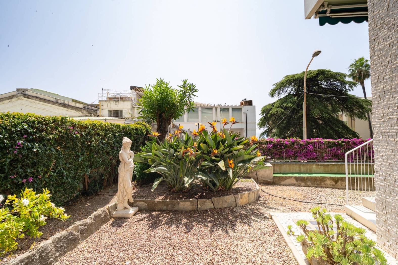Giardino