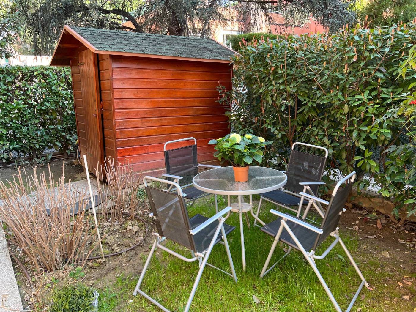 Giardino