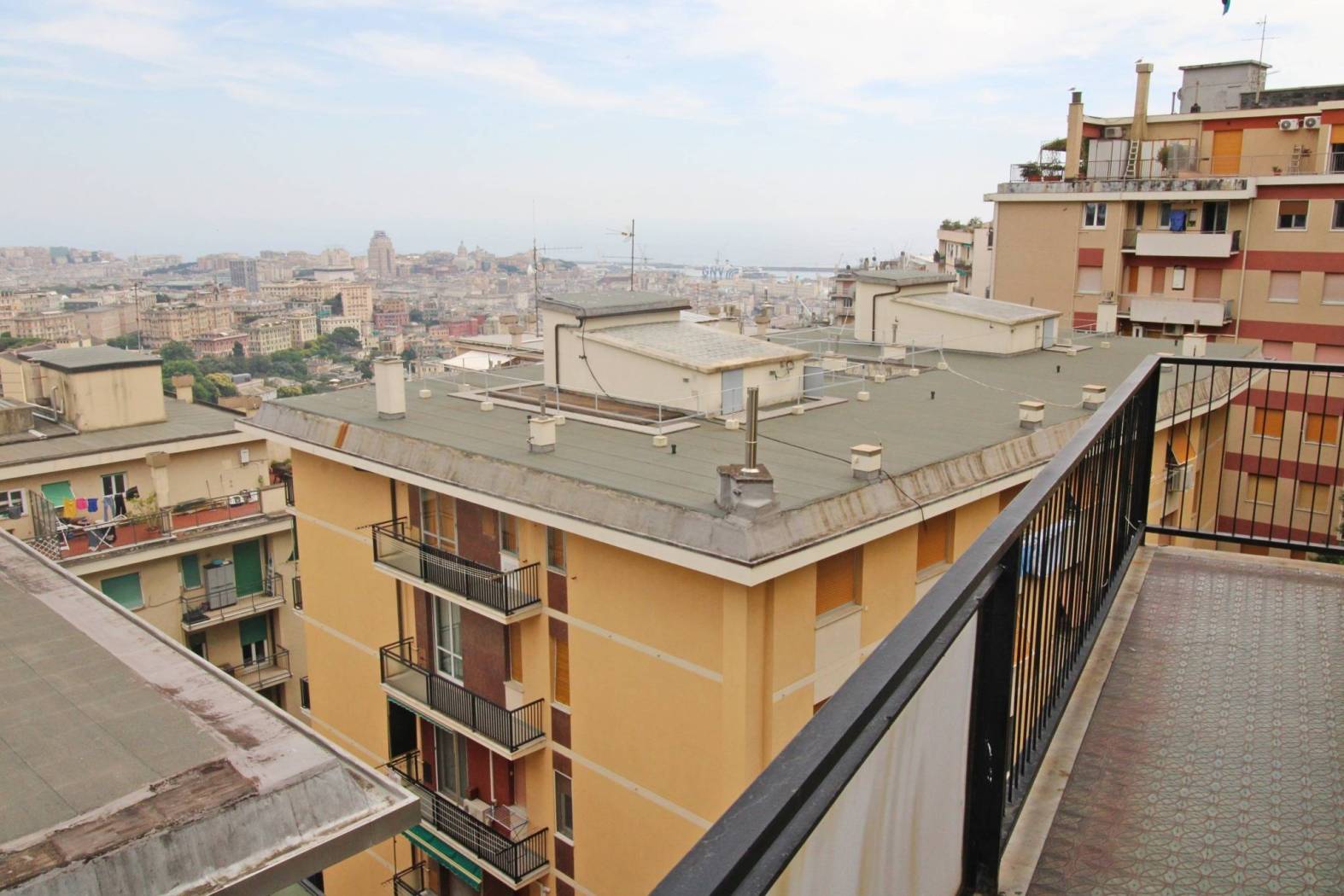 Vista