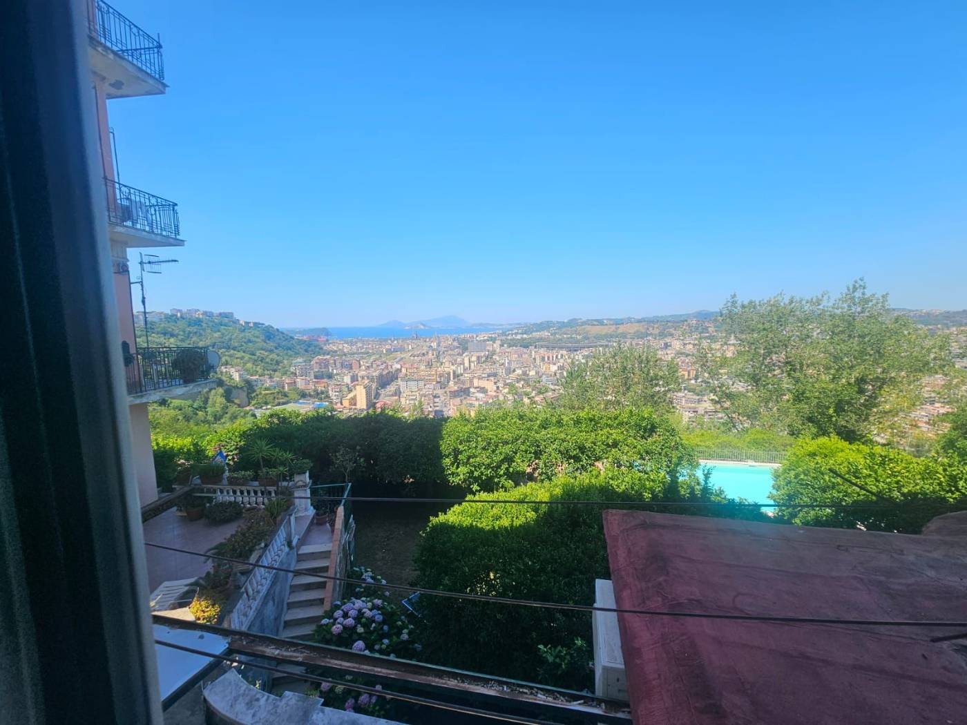 Vista