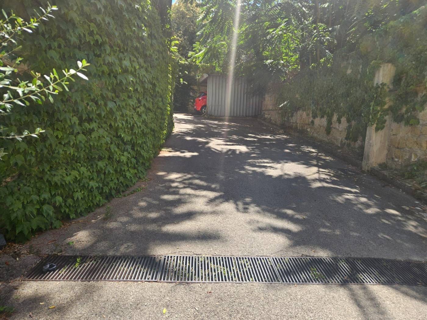 Giardino