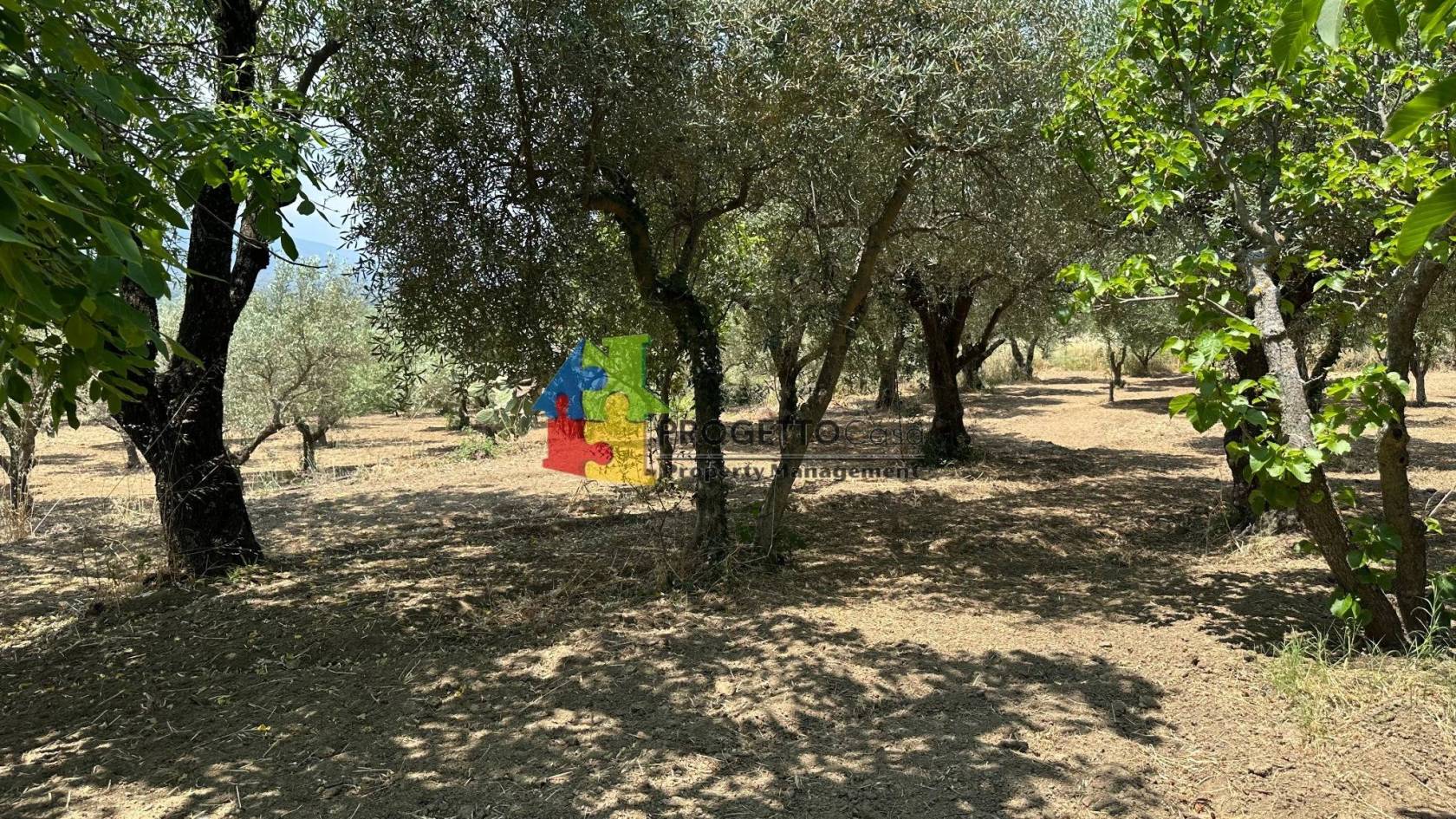 Terreno