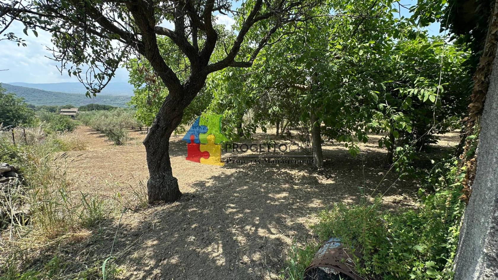 Terreno
