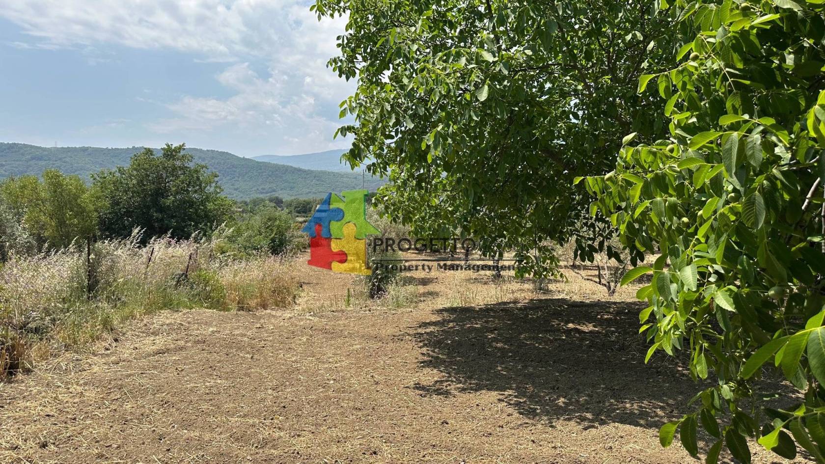 Terreno