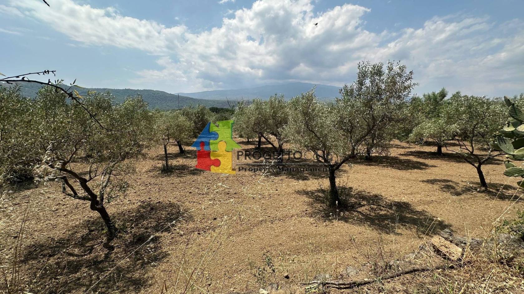 Terreno