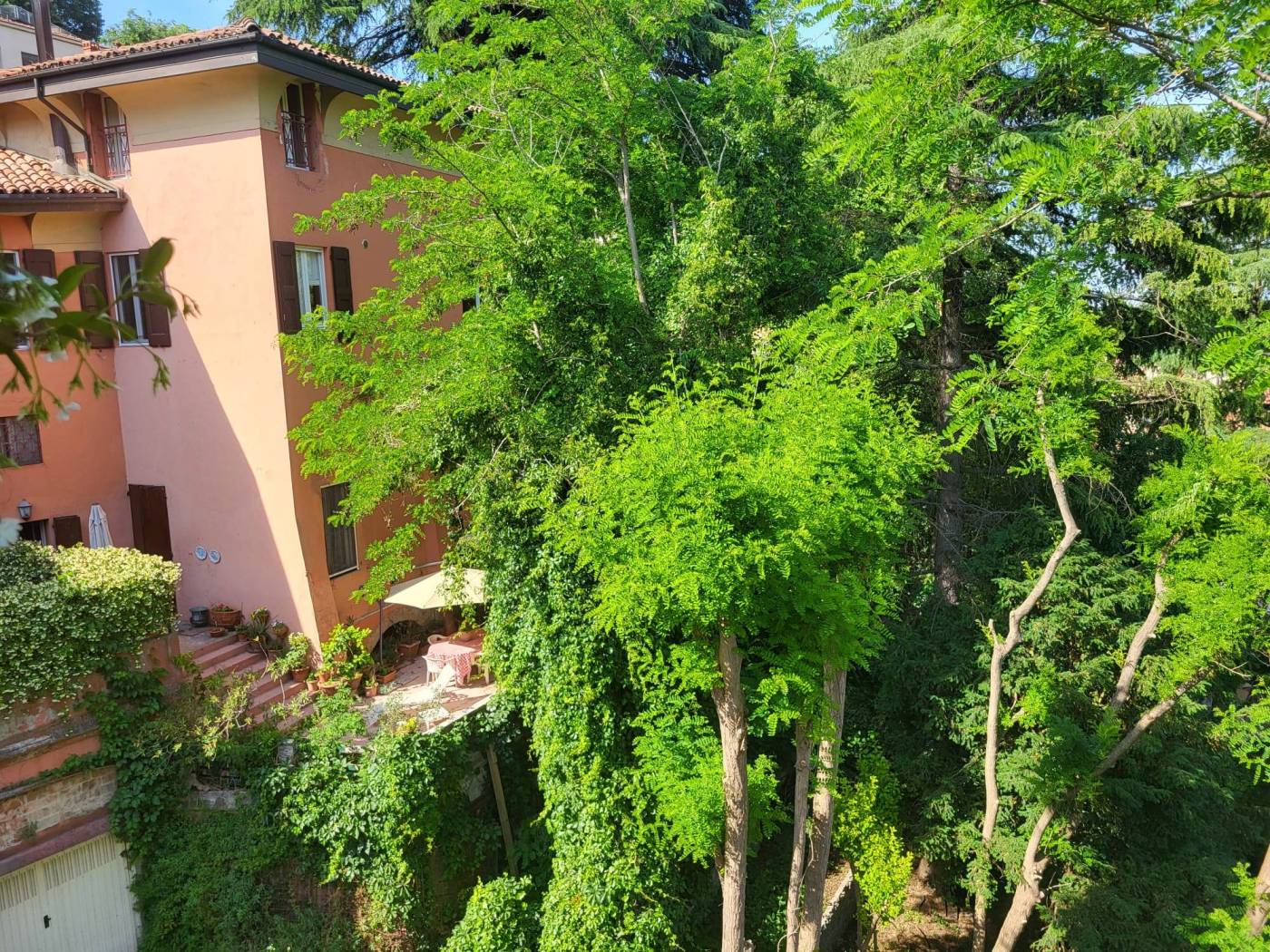 Giardino