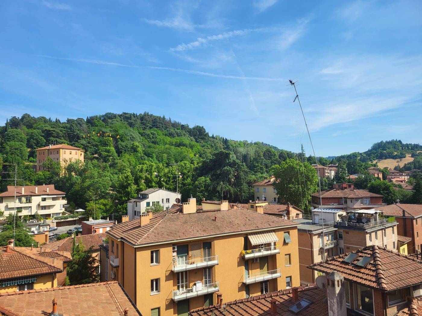 Vista